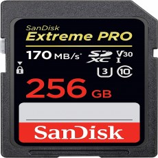 sadisk9